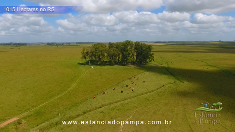 1015 HA no RS MARINETI.00_00_51_16.Quadro014_307b807ec6f735c2b5d91dfe17008412f2eb1b38.png